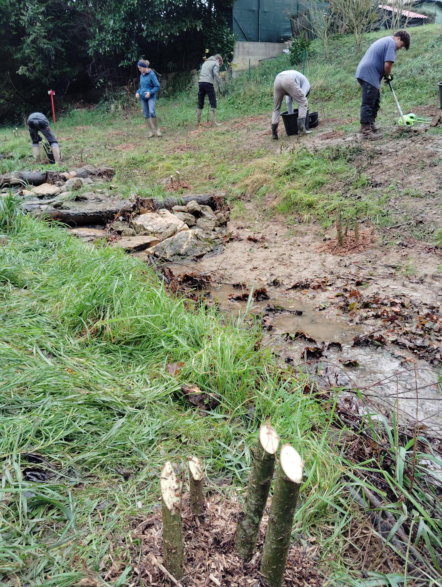 Travaux pratiques,CAP,BACPRO,Lyon,Rhone,Paysage,Jardinier,Orientation,Elagage,Alternance,Arboriste,Paysager,Paysagiste,4ème,3ème,apprentissage,stage,lycée,collège